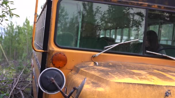 Eski Otobüsler Ormanda Terk Edilmiş — Stok video