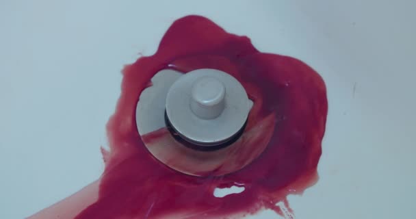 Großaufnahme Von Blut Das Einen Duschabfluss Hinunterspült — Stockvideo