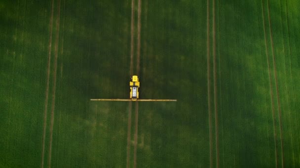 Aerial View Yellow Tractor Working Green Fields Tractor Spraying Water — Vídeos de Stock