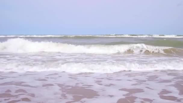 Vågbrytning Nordsjöns Strand Oostende Belgien — Stockvideo