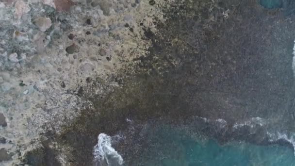 Olina Kayalık Kıyılarının Pasifik Kıyı Şeridi Boyunca Tepe Üstü Doğa — Stok video
