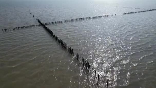 Fish Traps River Blackwater Essex — стоковое видео