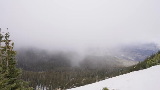 Timelapse Winter Storm Passing Large Forest Valley — Stockvideo