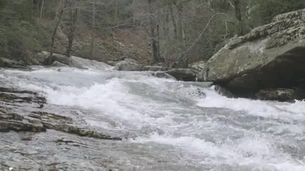 Wide Shot Rapids Creek Chattanooga — стоковое видео