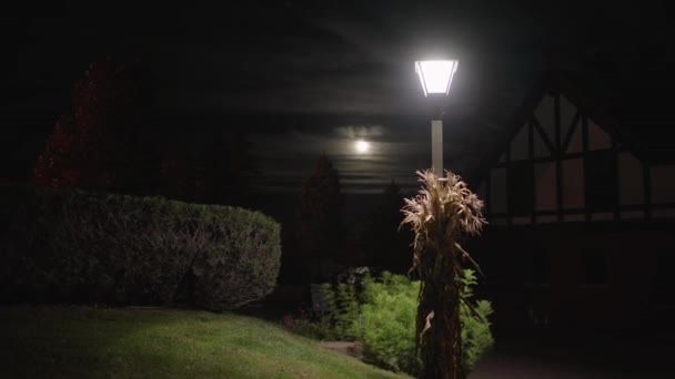 Φωτοβολίδα Από Έναν Στύλο Φωτός Και Πανσέληνο Μια Καλοκαιρινή Νύχτα — Αρχείο Βίντεο