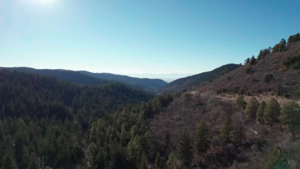 Drone Aerial View Climbing Altitude Reveal Large Forest Valley — Stock Video