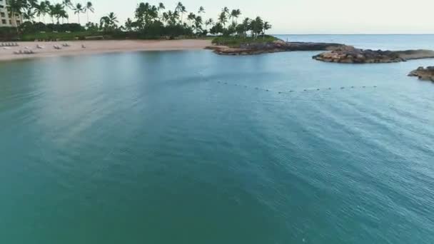 空中风景优美的海湾水 四周环绕着落基浮桥 棕榈树海岸线 — 图库视频影像