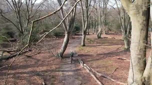 Rastreo Aviones Tripulados Bicicleta Montaña Través Del Árbol — Vídeos de Stock