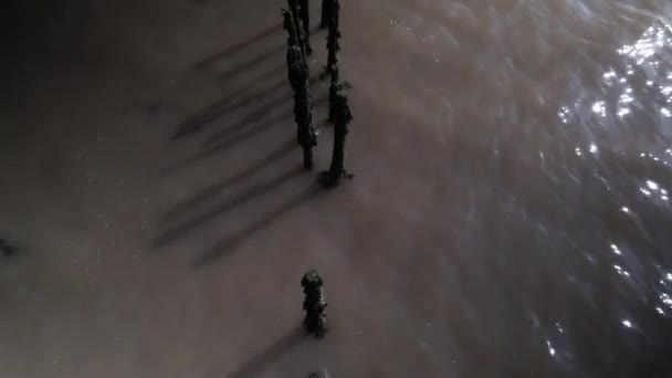 Overhead Pandangan Drone Posting Laut Sungai Hitam Perangkap Ikan Tua — Stok Video
