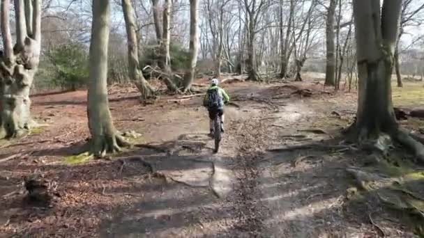 Mountain Bike Hill Climb Epping Forest Drone Tracking Though Trees — Vídeos de Stock