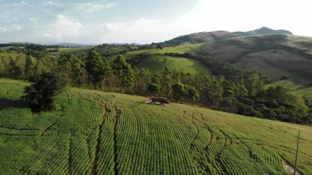 Sójová Plantáž Traktoru Brazílii — Stock video