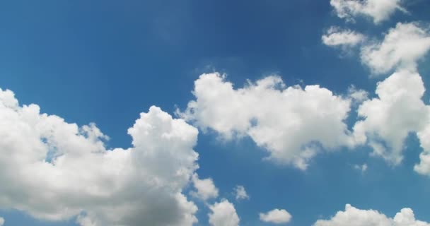 Bewegende Wolken Bouwen Gezwollen Pluizig Witte Wolken Hemel Tijd Verval — Stockvideo