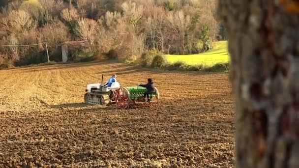 Crawler Tractor Seeder Moving Land Field Sunset Long Shot — Stock video