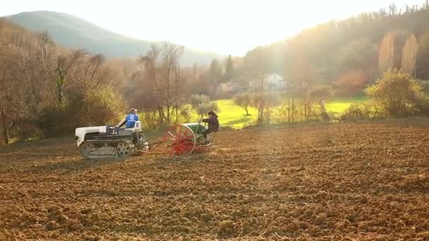 Couple Sowing Sainfoin Field Tractor Traditional Seeder Sunset Slow Motion — Stock video