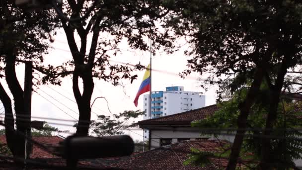 Colombian Flag Waving Slowmotion Distance Sunny Afternoon — 비디오