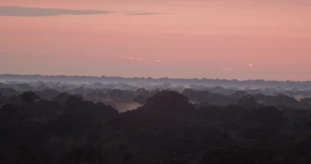 Weite Des Peruanischen Regenwaldes Bei Sonnenuntergang Mit Nebel Bedeckt — Stockvideo