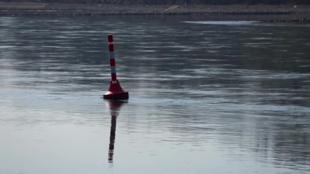 Red Ship Buoy Floats Water Stream Rhine Karlsruhe Sunny Spring — Stock Video