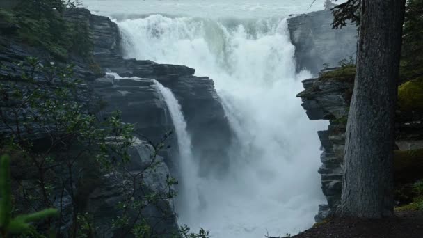 Ein Großer Wasserfall Besteht Aus Grauen Felsen Aus Denen Nebelschwaden — Stockvideo