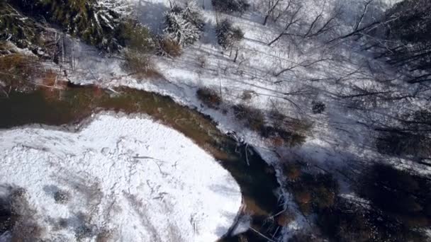 Snowy Winter Landscape Sunny Day Flowing River Snow Covered Trees — Stock videók