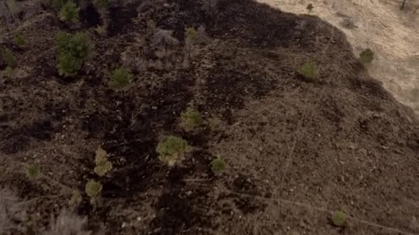 Effect Climate Changes Hills Fire Left Land Destroyed — Wideo stockowe