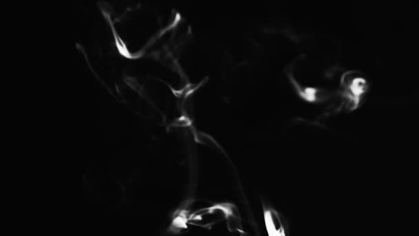 现实的云烟流线型 低速运动中深色背景下的黑白烟摘要 — 图库视频影像
