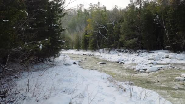 Flowing River Snow Covered Banks Dense Evergreen Forest Winter — Vídeo de Stock
