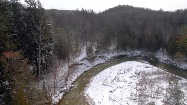Pokryty Śniegiem Zimowy Krajobraz Rzeka Ujawnić Las Lotnicze Drone Shot — Wideo stockowe