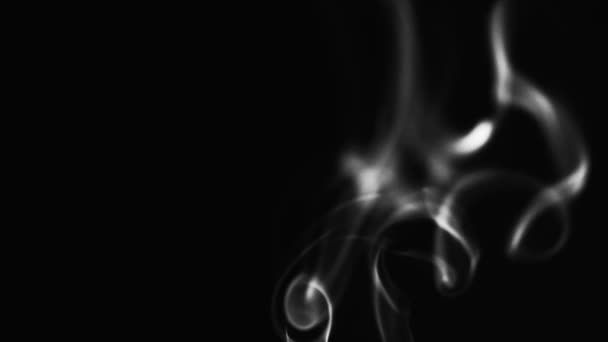 Realistic Cloud Smoke Streamline Pattern Abstract Black White Smoke Dark — Stockvideo