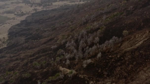 Effetto Dei Cambiamenti Climatici Sulle Colline Dopo Che Incendio Distrutto — Video Stock