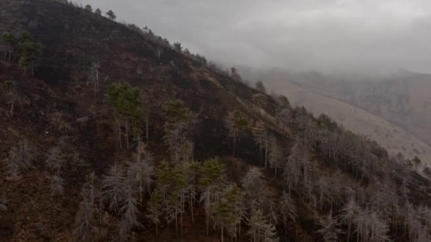 Вплив Змін Клімату Пагорби Після Пожежі Лівих Земель — стокове відео