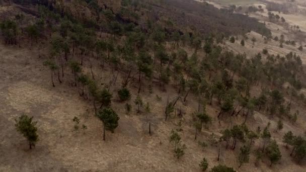 Effect Climate Changes Hills Fire Left Land Destroyed — Vídeos de Stock