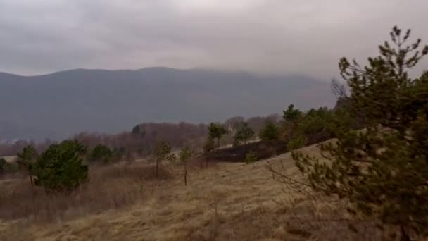 Effetto Dei Cambiamenti Climatici Sulle Colline Dopo Che Incendio Distrutto — Video Stock