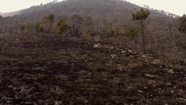 Влияние Климатических Изменений Холмы После Пожара Оставило Землю Разрушенной — стоковое видео