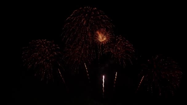 Beautiful Colorful Real Continue Fireworks Display Celebration New Year Eve — Vídeos de Stock