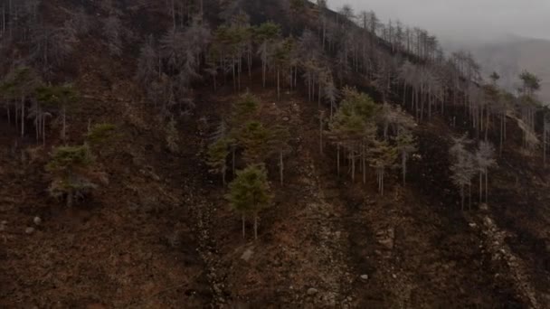 Вплив Змін Клімату Пагорби Після Пожежі Лівих Земель — стокове відео