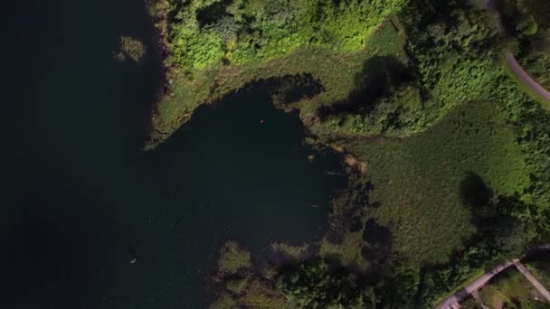 Drohnenabsturz Richtung Dschungelsee Teich Costa Rica Luftfahrt — Stockvideo