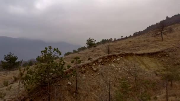 Effect Climate Changes Hills Fire Left Land Destroyed — Stock Video