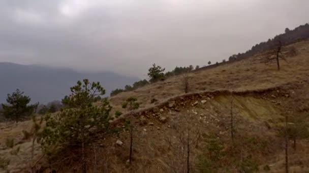 Efecto Los Cambios Climáticos Las Colinas Después Que Incendio Dejara — Vídeo de stock