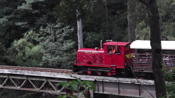 Locomotive Diesel Tirant Des Voitures Pleines Touristes Sur Pont Sur — Video