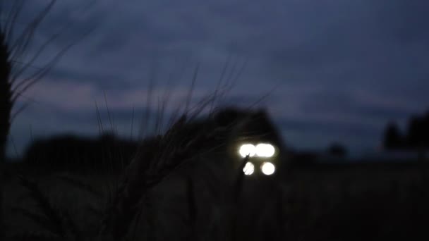 Many Combines Field Rye Harvesting Night Alberta Canada — Stockvideo