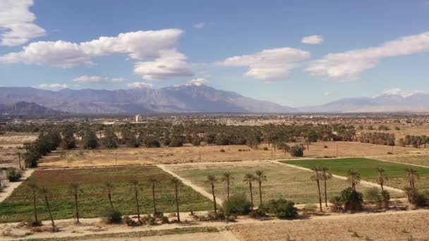 加利福尼亚科切拉山谷的Drone视图 与椰枣树和圣加辛托山脉相距甚远 — 图库视频影像