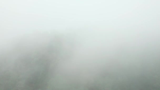 Vola Sulle Montagne Della Foresta Pluviale Tropicale Ricoperte Nebbia Densa — Video Stock