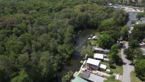 Weekend Kayakers Paddle Weeki Wachee River Roger Park Beautiful Family — 비디오