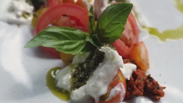 Bocconcini Peyniri Aile Yadigarı Domates Salatası Salataya Fesleğen Koy — Stok video