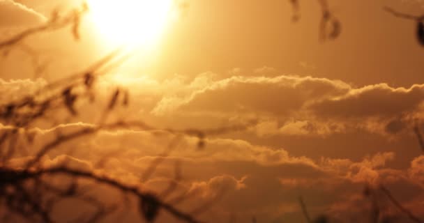 夏天的日落带着毛茸茸的云彩 静态射击 — 图库视频影像