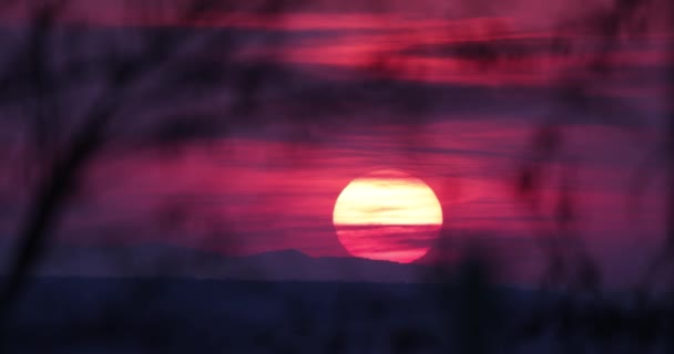 Golden Sun Sets Pink Hued Sky Thin Clouds Selective Focus — Stock Video