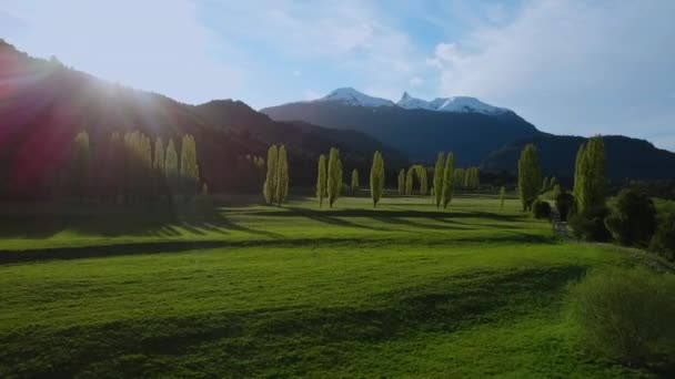 Arial Sydamerika Chile Patagonien Futaleuf Flyger Vackra Ängar Med Träd — Stockvideo