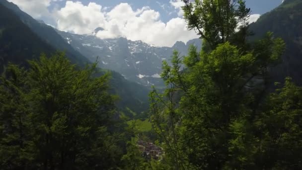 Aerial Dolly Bushes Revealing Picturesque Green Valley Small Village Surrounded — Stockvideo