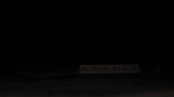 という文字が刻まれたスクラブルタイルと背景のスクラブルボードは 暗い雰囲気の中でスクラブルボードの上を明るい光が通過するので ゆっくりと明らかにされます — ストック動画