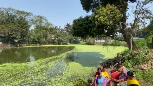 Mujer Realizando Rituales Cerca Estanque Verde Suburbio Bengala Occidental Para — Vídeos de Stock